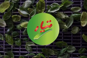 خرید سبزی خشک عمده تیار